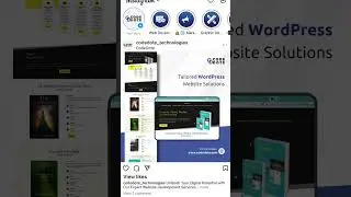 WordPress Websites