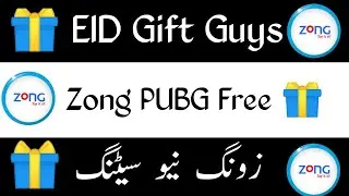 Zong PUBG Setting | Zong new Host 5G Speed
