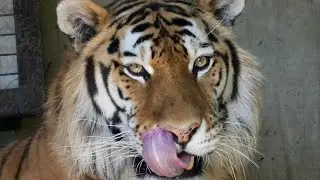 DC is a Zoo and then the Trump verdict was released.