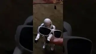 DVAD: Gangster Dog!