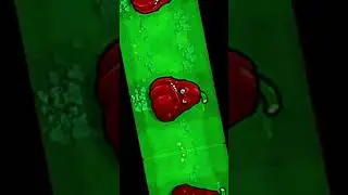 Пвз фьюжн эдит 