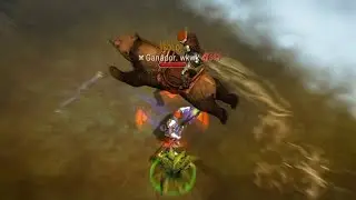 This is what 1000 hours of Shaman looks like on Frostborn