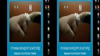 вирус очень веселый