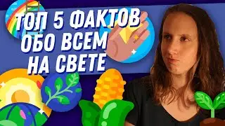 ТОП 5 фактов обо всем на свете. Время, гравитация, прошлое, зрение и микробы