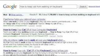 No search results were found