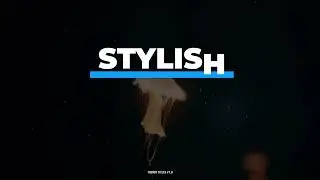 Trendy Titles | After Effects