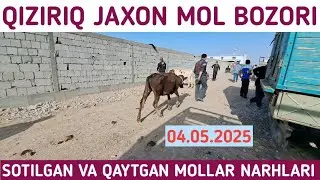 SOTILGAN VA QAYTGAN MOLLAR NARHLARI SURXONDARYO VILOYATI QIZIRIQ JAXON MOL BOZORIDA 04.05.2025