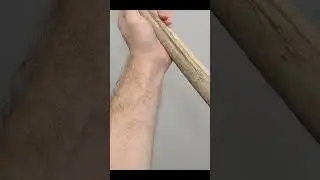 El Hueso Mas Fuerte del Cuerpo Humano