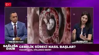Gynecology - Health Related September 20, 2025