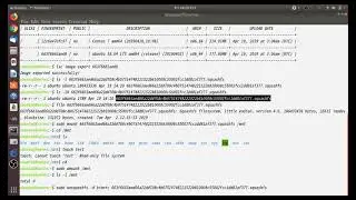 from lxc image to docker image