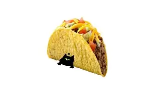 Taco Cat // Sir fluff gift shitpot
