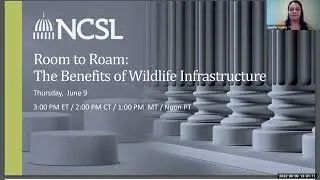 Room to Roam: The Benefits of Wildlife Infrastructure
