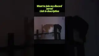 Join my discord server 