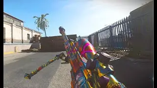 The Mw19 experience.EXE