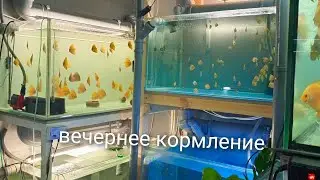 серьёзный аппетит.