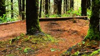 CGHS Biking Club  (WhyPass-2)