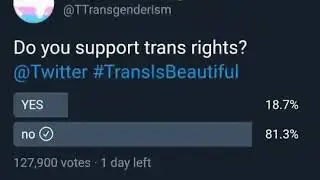The Heroes of Transgenderism Twitter Re-Tweet Rant but Yoshikage Kira's theme plays over it.