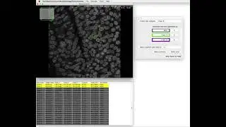 Annotation of segmented objects in Fiji