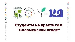 Клубника Коломенской ягоды