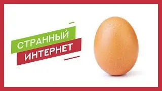 ЯЙЦО, ПОБИВШЕЕ МИРОВОЙ РЕКОРД [Странный Интернет]