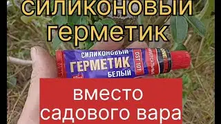 Силиконовый герметик вместо садового вара.