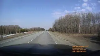 Лось