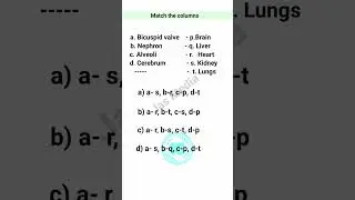 NEET DAILY PRACTICE Q&A NO. 22|BIOLOGY|HUMAN PHYSIOLOGY
