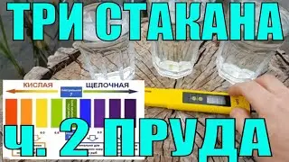 КРИСТАЛЬНО ЧИСТАЯ ВОДА В ПРУДУ//ТРИ СТАКАНА ДВА ПРУДА//