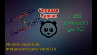 Книга наставлений. Компендиум в Perfect World.
