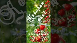 Қайырлы таң! Доброе утро! Good morning.#shorts