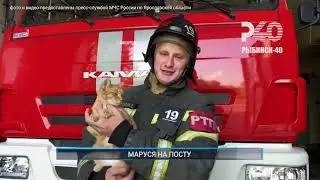 🐱Маруся на посту