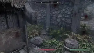 Skyrim CHAOS Mode!