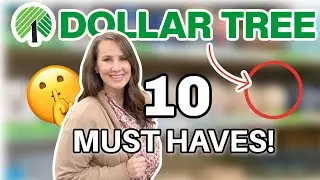 10 Must Have items that will have you running to Dollar Tree!