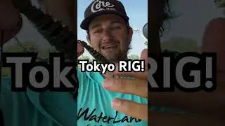 This RIG Out-fishes the normal rigs 