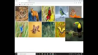 How to set image in html tamil | image zoom in and zoom out
