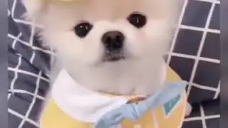Ela it