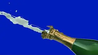 3d shampan green screen effect for chromakey