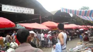 China- The little boys with the dead chickens