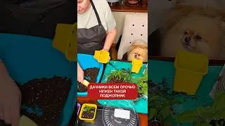 Дачники сила👍 Подписывайтесь