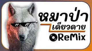 ⭐มาแรงTikTok!! ( หมาป่าเดียวดาย - พลอยชมพู Cover ) Ver. ReMix BY [ ดีเจกิต รีมิกซ์ ]