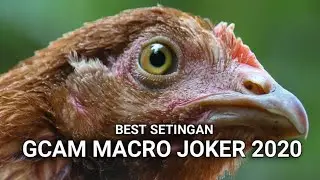 BEST SETTINGS Gcam Joker oke punya