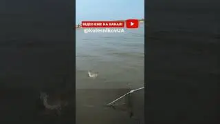 Відкриття Сезону 2024 #fishing