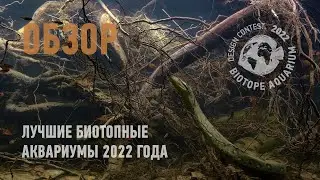 10.04.2022 - Смотрим Лучшие Биотопные Аквариумы 2022
