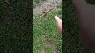 Что это за манежик?)))