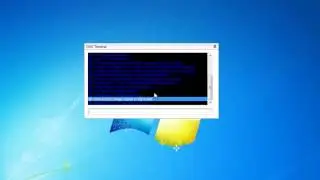DAX OS Terminal