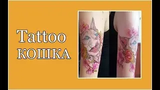 Tattoo Кошка