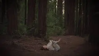 Qoya: Stretching (Live Your Life with Devotion)