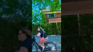 Голландия, Нидерланды, Харлем.