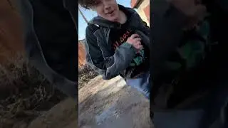 Комедия медвежонок. Скибиди Емеля накинулся на Тухлого Вольфа