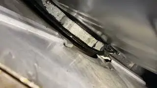 Rear crank seal leak